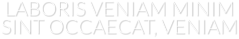 LABORIS VENIAM MINIM SINT OCCAECAT, VENIAM